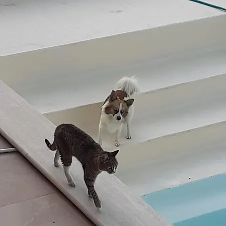 ベッド・アンド・ブレックファスト Di Luna E Di Sole サルツァーナ