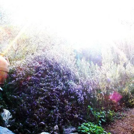 Di Luna E Di Sole ベッド・アンド・ブレックファスト 3*