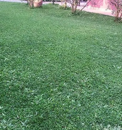 Di Luna E Di Sole ベッド・アンド・ブレックファスト サルツァーナ