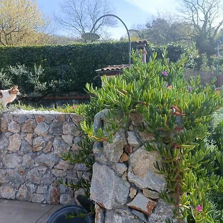 Di Luna E Di Sole 3*