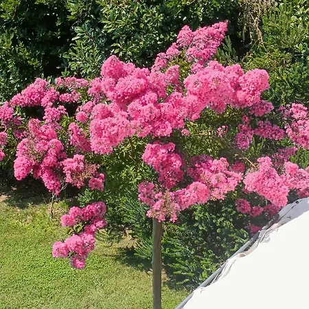 Di Luna E Di Sole ベッド・アンド・ブレックファスト