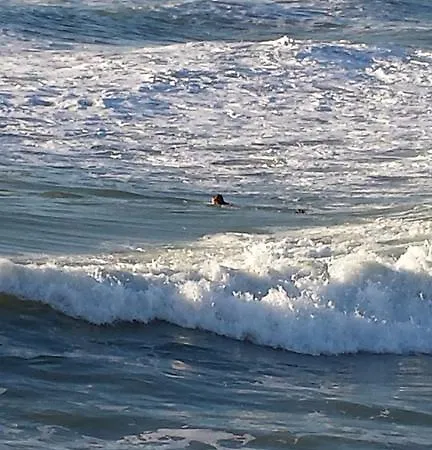 ベッド・アンド・ブレックファスト Di Luna E Di Sole サルツァーナ