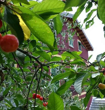 Di Luna E Di Sole ベッド・アンド・ブレックファスト