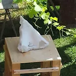 Di Luna E Di Sole 萨尔扎纳