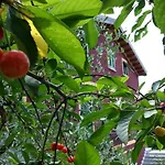 Di Luna E Di Sole 住宿加早餐酒店