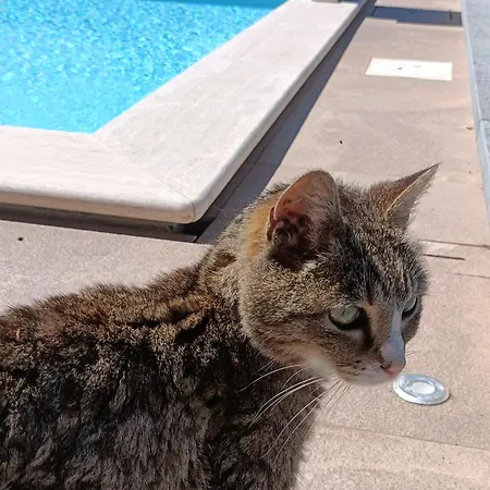 Di Luna E Di Sole Sarzana