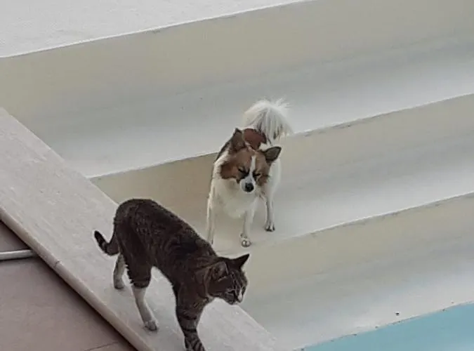 Bed and breakfast Di Luna E Di Sole Sarzana