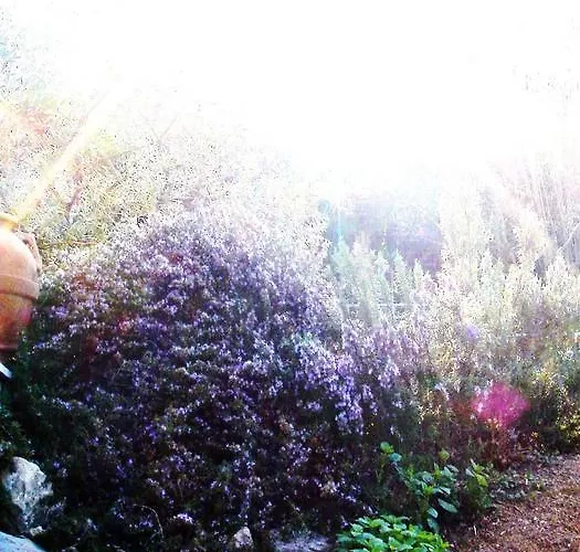 Di Luna E Di Sole Bed and breakfast 3*