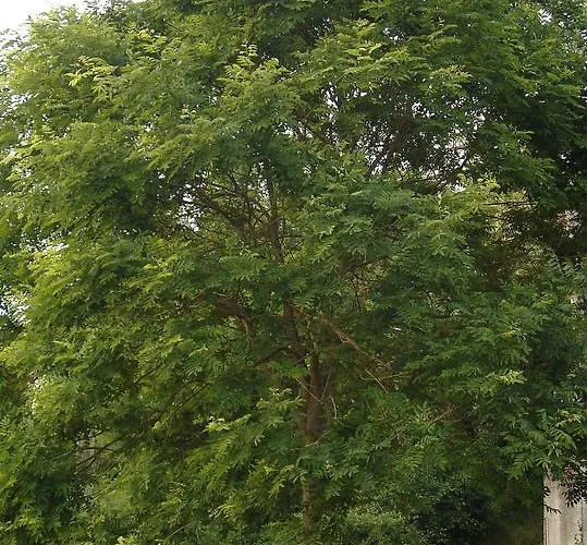 Di Luna E Di Sole Bed and breakfast 3*