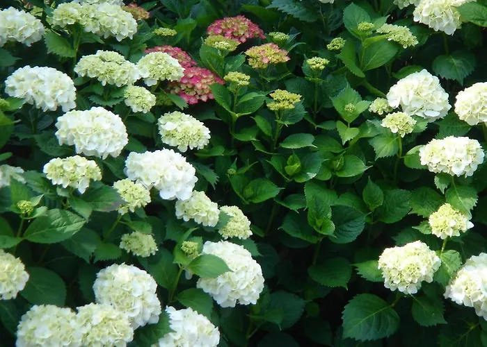 Bed & Breakfast Di Luna E Di Sole Sarzana