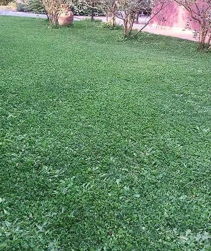 Di Luna E Di Sole Bed and breakfast Sarzana