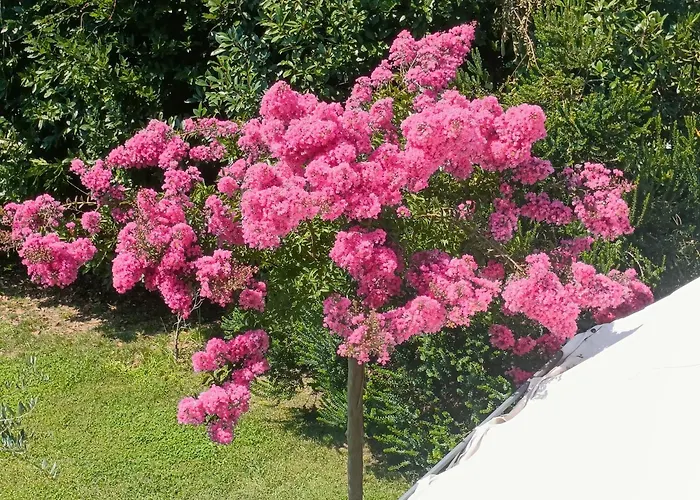 Di Luna E Di Sole Bed & Breakfast