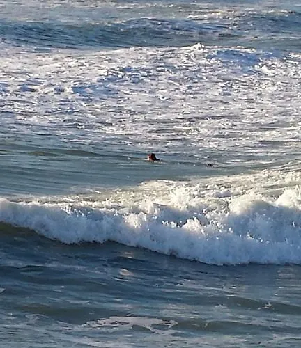 Bed & Breakfast Di Luna E Di Sole Sarzana